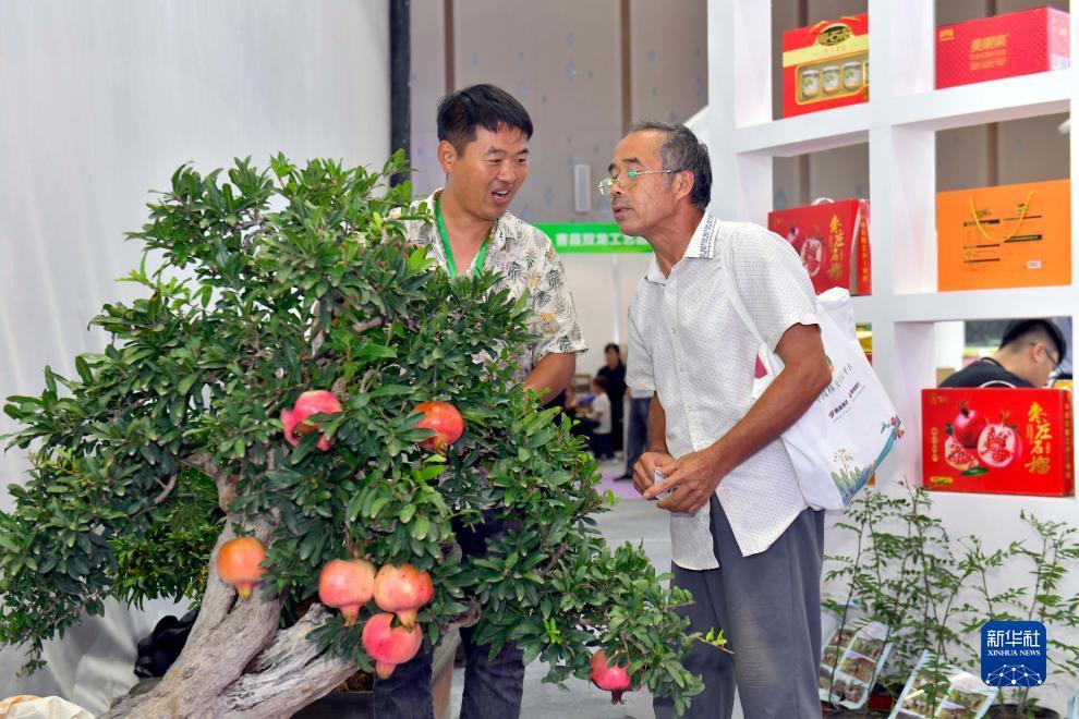 大唐棋牌苹果版下载